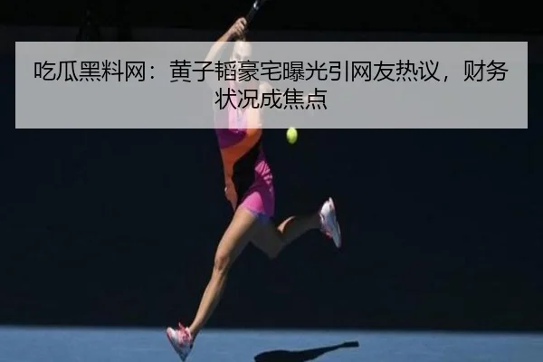 chi-gua-hei-liao-wang-huang-zi-tao-hao-zhai-bao-guang-yin-wang-you-re-yi-cai-wu-zhuang-kuang-cheng-jiao-dian-2-306.jpg